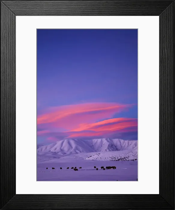 Framed Print : DDE-90026518