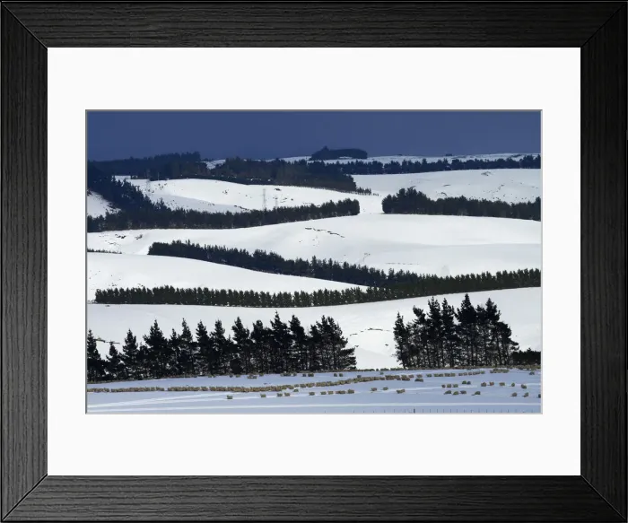 Framed Print : DDE-90026519 Framed Print : DDE-90026519