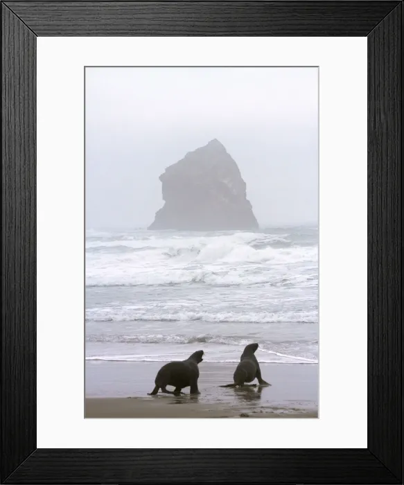 Framed Print : DDE-90026520 Framed Print : DDE-90026520