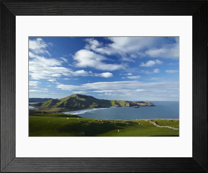 Framed Print : DDE-90026522 Framed Print : DDE-90026522