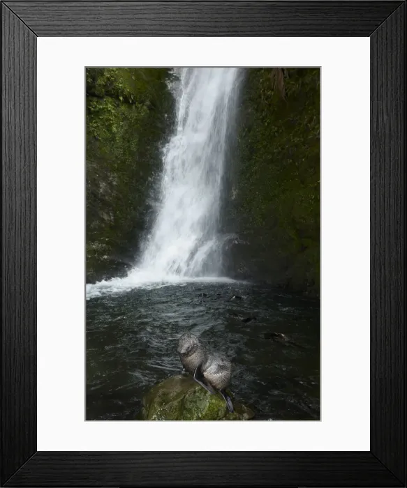 Framed Print : DDE-90026525