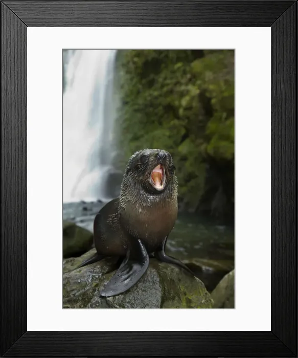 Framed Print : DDE-90026528