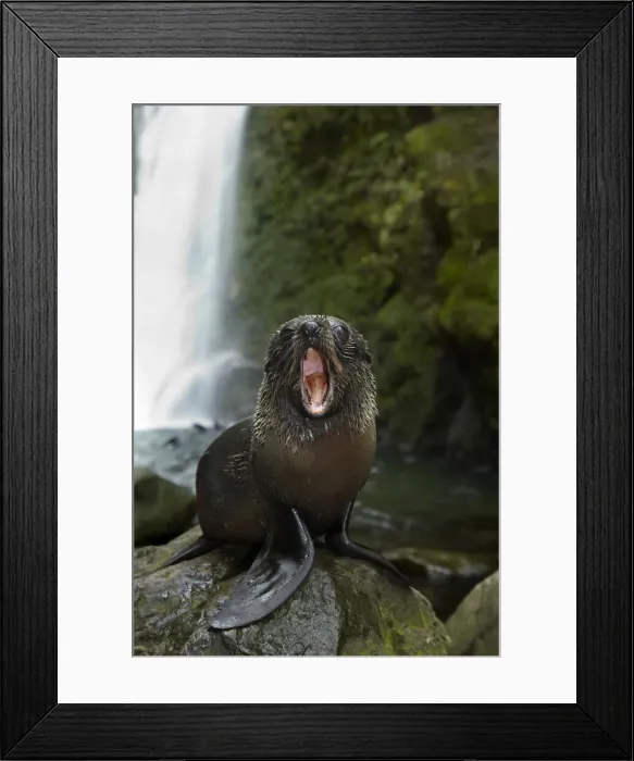 Framed Print : DDE-90026529 Framed Print : DDE-90026529