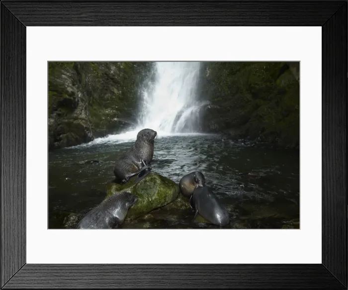 Framed Print : DDE-90026533 Framed Print : DDE-90026533
