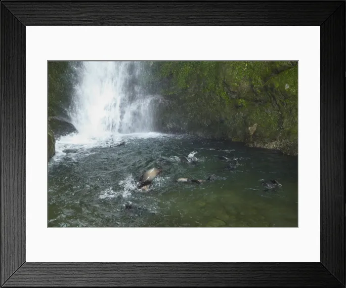 Framed Print : DDE-90026534 Framed Print : DDE-90026534