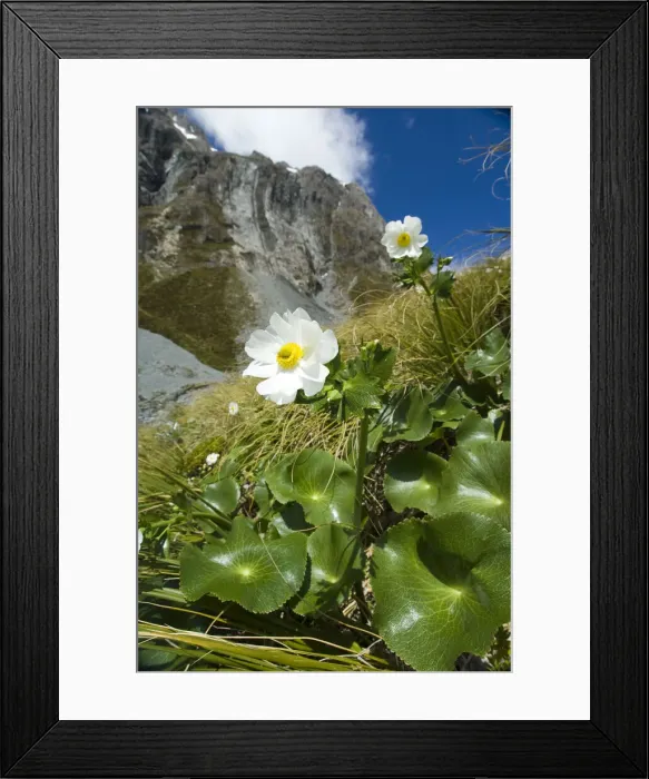 Framed Print : DDE-90026628 Framed Print : DDE-90026628