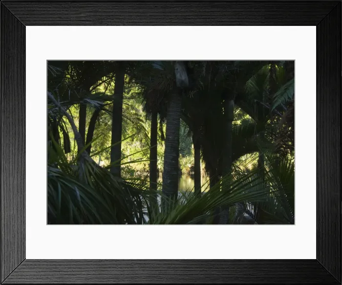 Framed Print : DDE-90026656