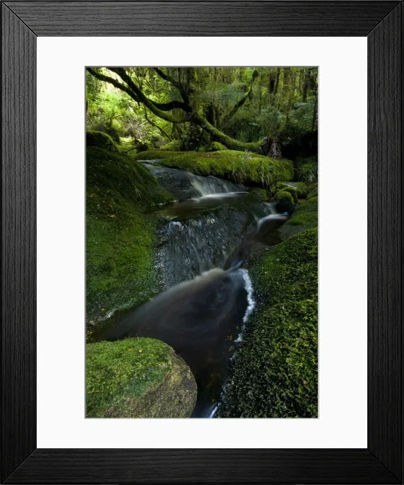 Framed Print : DDE-90026668 Framed Print : DDE-90026668