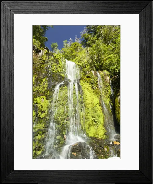 Framed Print : DDE-90026676 Framed Print : DDE-90026676