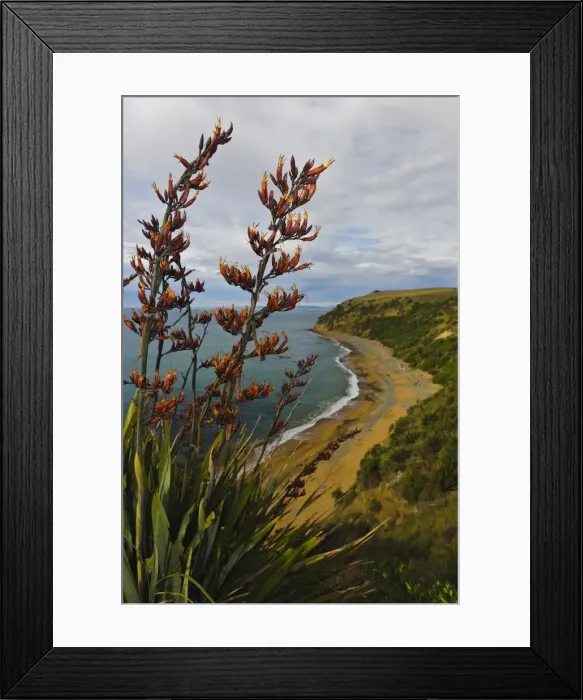 Framed Print : DDE-90026682 Framed Print : DDE-90026682