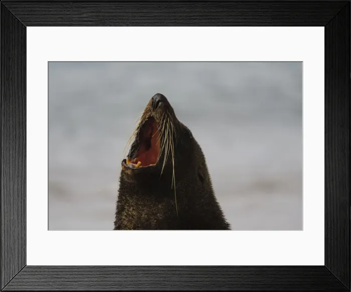 Framed Print : DDE-90026684 Framed Print : DDE-90026684