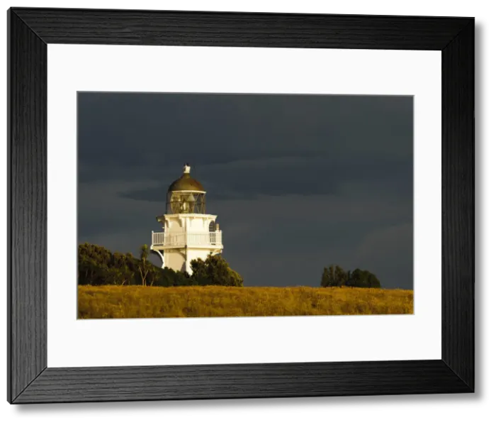 Framed Print : DDE-90026694 Framed Print : DDE-90026694
