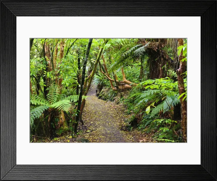 Framed Print : DDE-90026699 Framed Print : DDE-90026699