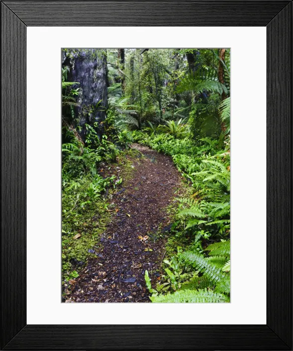 Framed Print : DDE-90026701 Framed Print : DDE-90026701