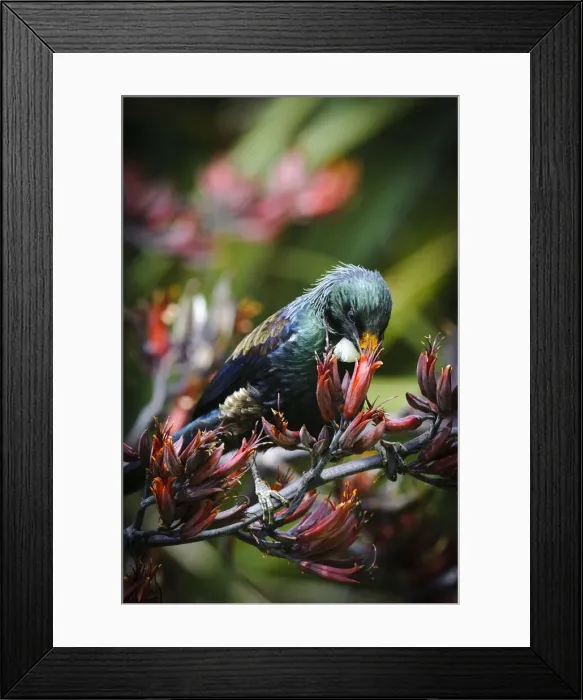 Framed Print : DDE-90026703 Framed Print : DDE-90026703