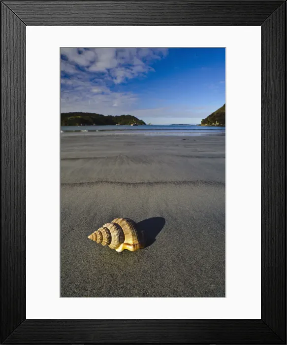 Framed Print : DDE-90026707