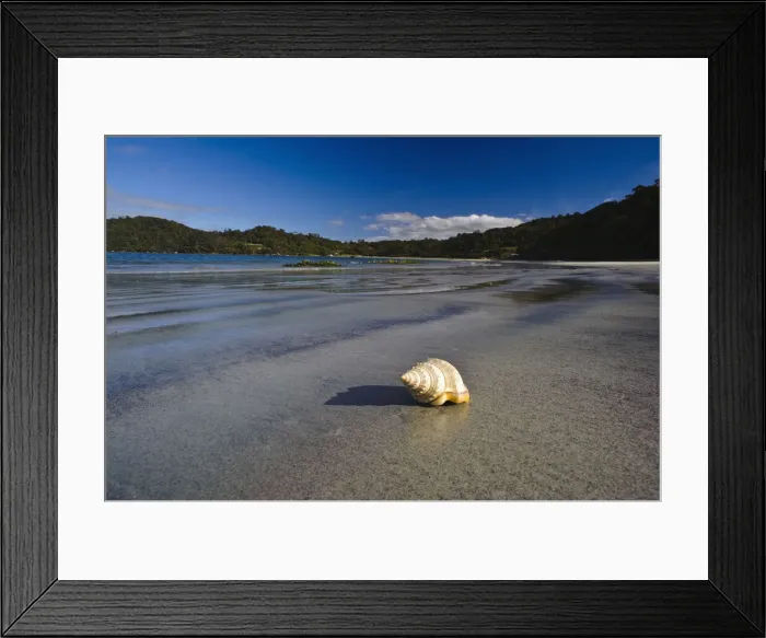 Framed Print : DDE-90026706 Framed Print : DDE-90026706