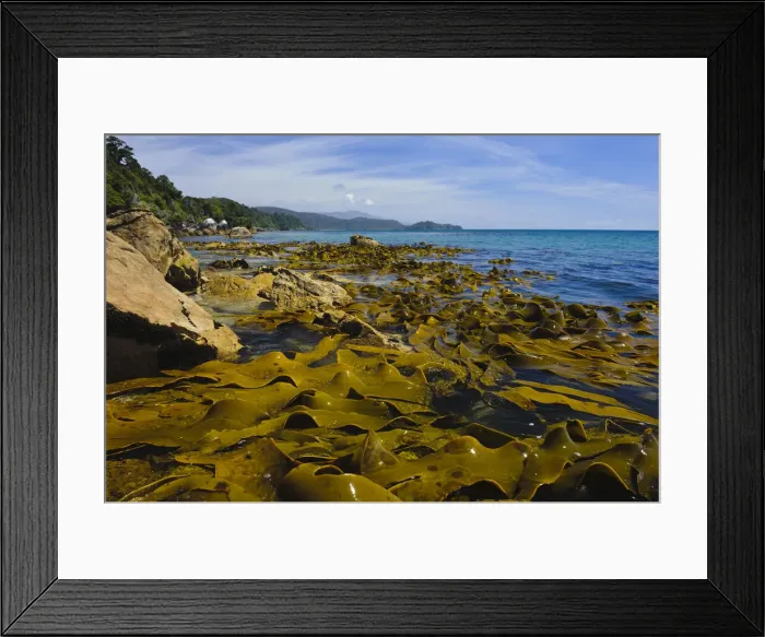 Framed Print : DDE-90026712 Framed Print : DDE-90026712