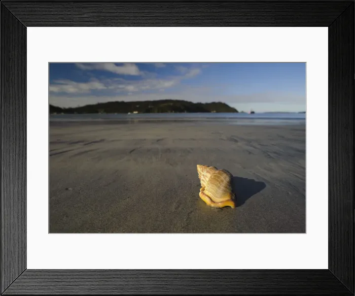 Framed Print : DDE-90026708 Framed Print : DDE-90026708