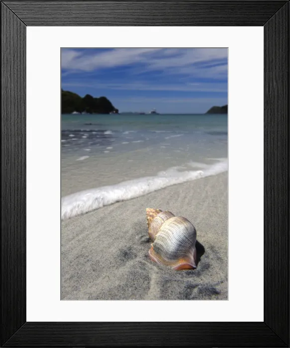 Framed Print : DDE-90026713 Framed Print : DDE-90026713