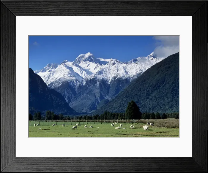 Framed Print : DDE-90026719 Framed Print : DDE-90026719