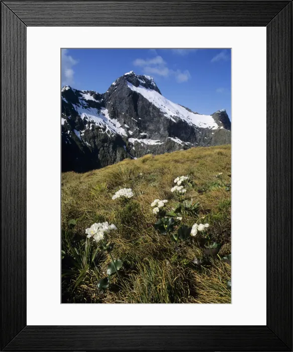 Framed Print : DDE-90026723