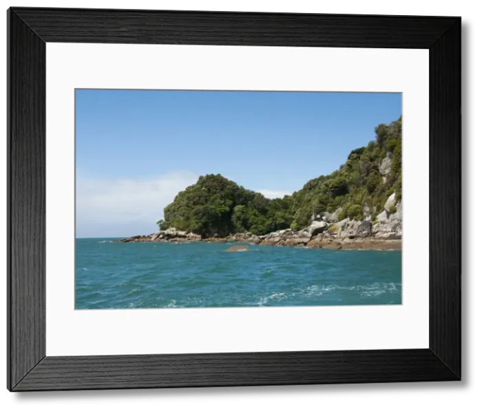 Framed Print : DDE-90026736