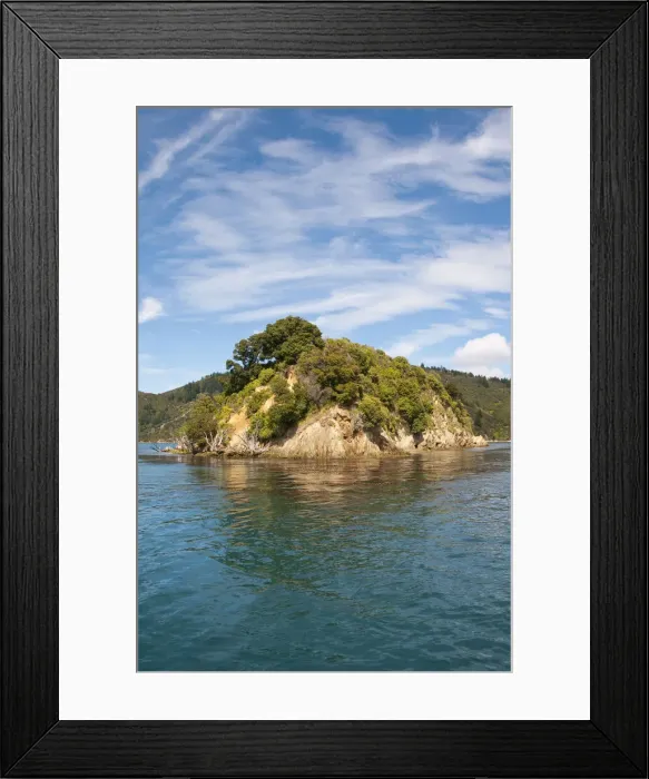 Framed Print : DDE-90026739 Framed Print : DDE-90026739