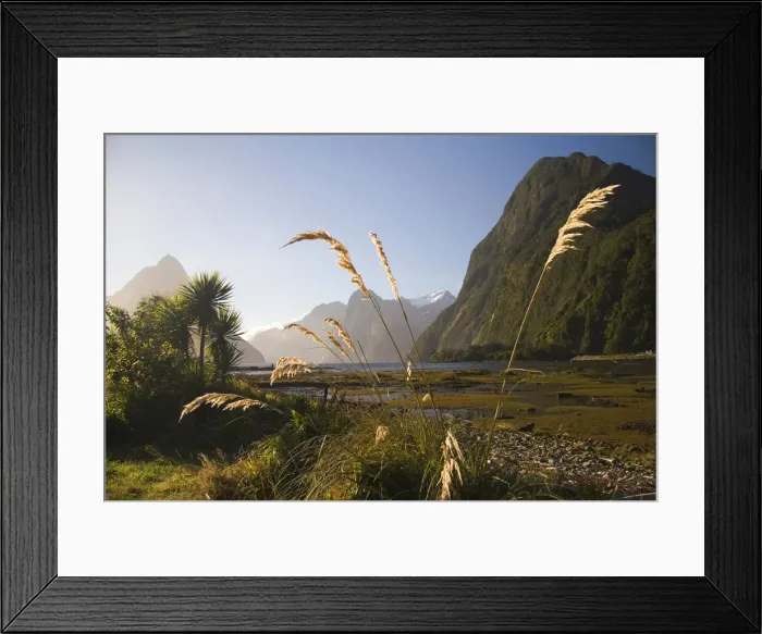 Framed Print : DDE-90026749 Framed Print : DDE-90026749