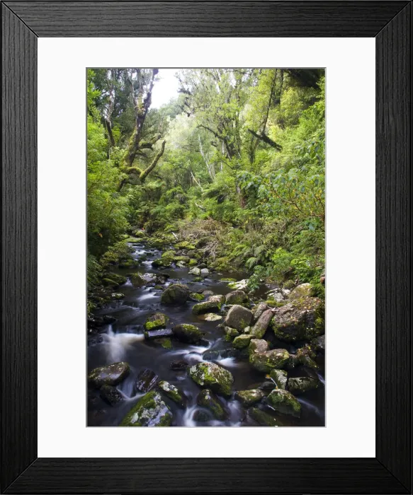 Framed Print : DDE-90026759 Framed Print : DDE-90026759