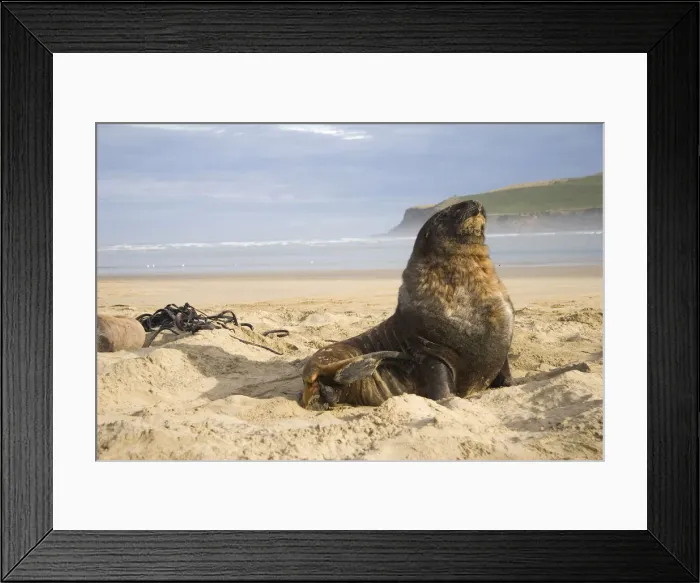 Framed Print : DDE-90026761 Framed Print : DDE-90026761