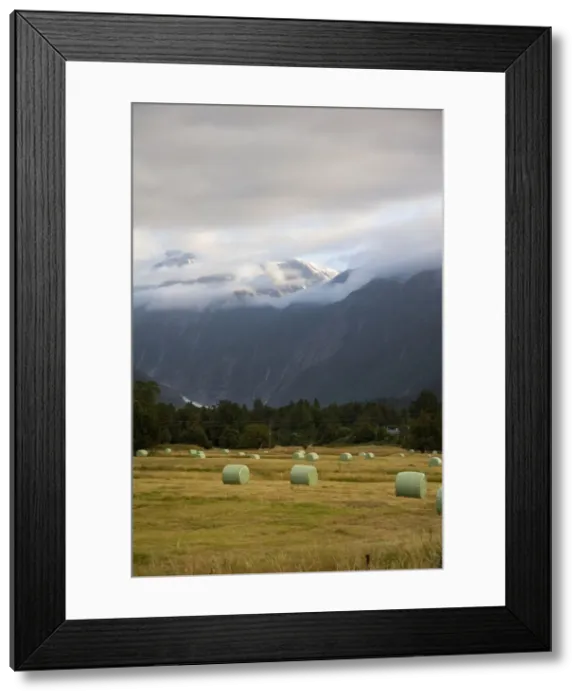 Framed Print : DDE-90026767