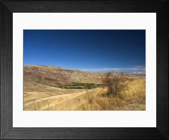 Framed Print : DDE-90026769