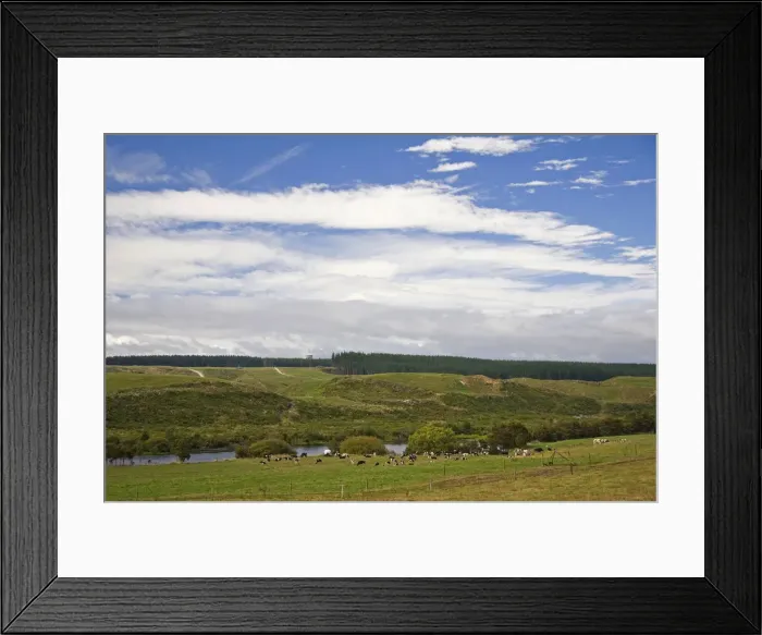Framed Print : DDE-90026773 Framed Print : DDE-90026773