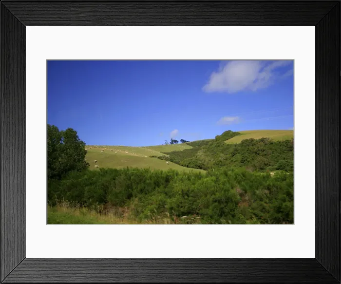 Framed Print : DDE-90026779 Framed Print : DDE-90026779