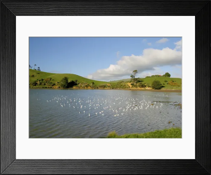 Framed Print : DDE-90026780 Framed Print : DDE-90026780
