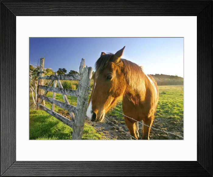 Framed Print : DDE-90026781 Framed Print : DDE-90026781