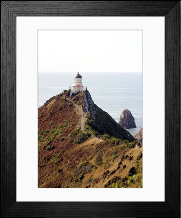 Framed Print : DDE-90026796