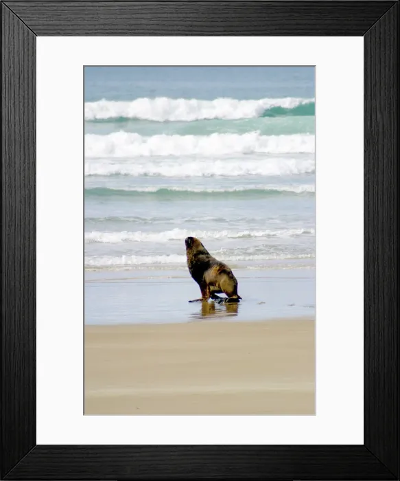 Framed Print : DDE-90026800 Framed Print : DDE-90026800