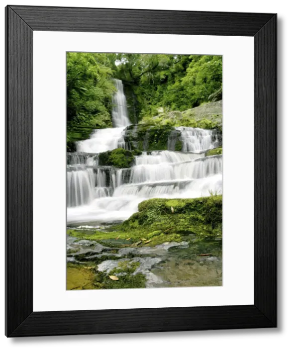 Framed Print : DDE-90026801 Framed Print : DDE-90026801