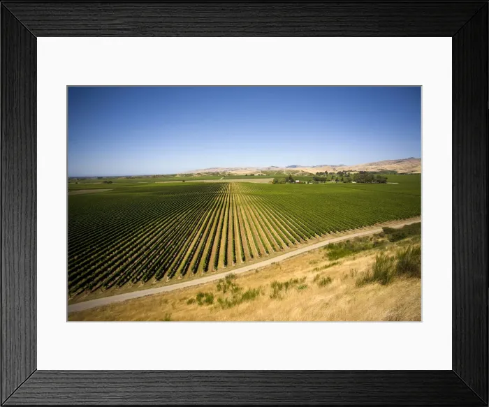 Framed Print : DDE-90026815