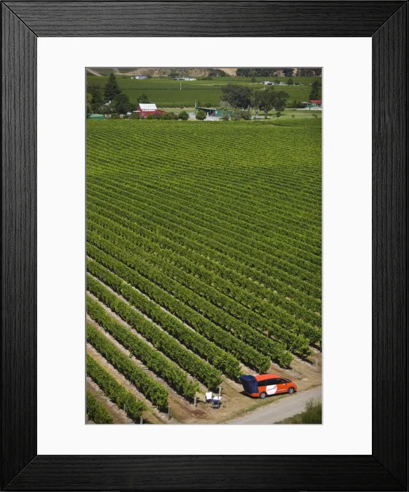 Framed Print : DDE-90026816 Framed Print : DDE-90026816