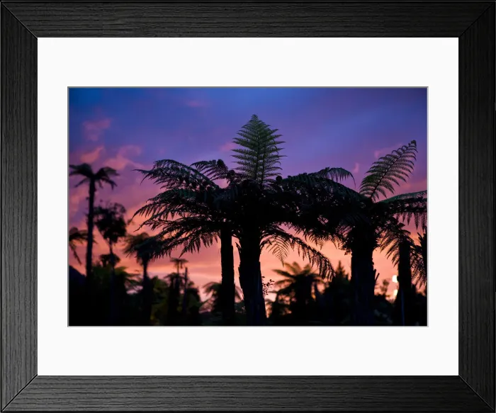 Framed Print : DDE-90026821 Framed Print : DDE-90026821
