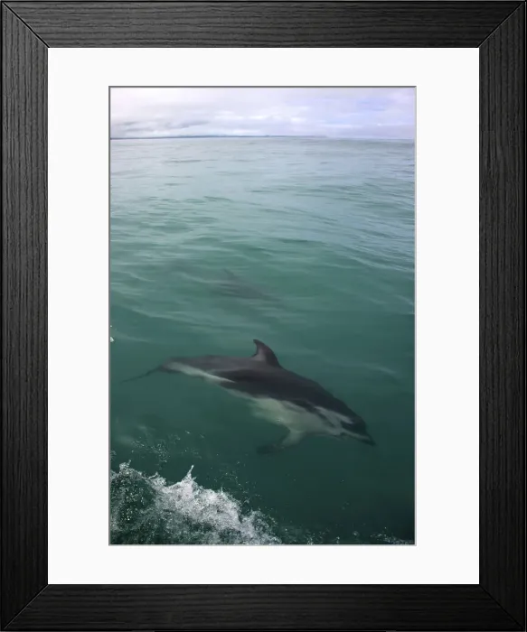 Framed Print : DDE-90026832 Framed Print : DDE-90026832