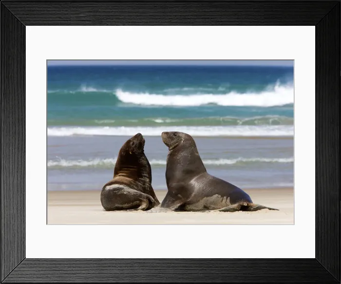 Framed Print : DDE-90026842 Framed Print : DDE-90026842