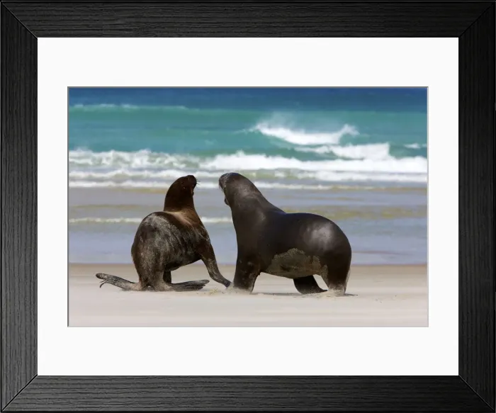 Framed Print : DDE-90026843 Framed Print : DDE-90026843