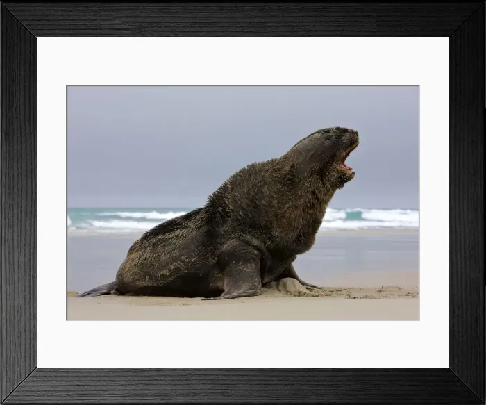 Framed Print : DDE-90026844 Framed Print : DDE-90026844