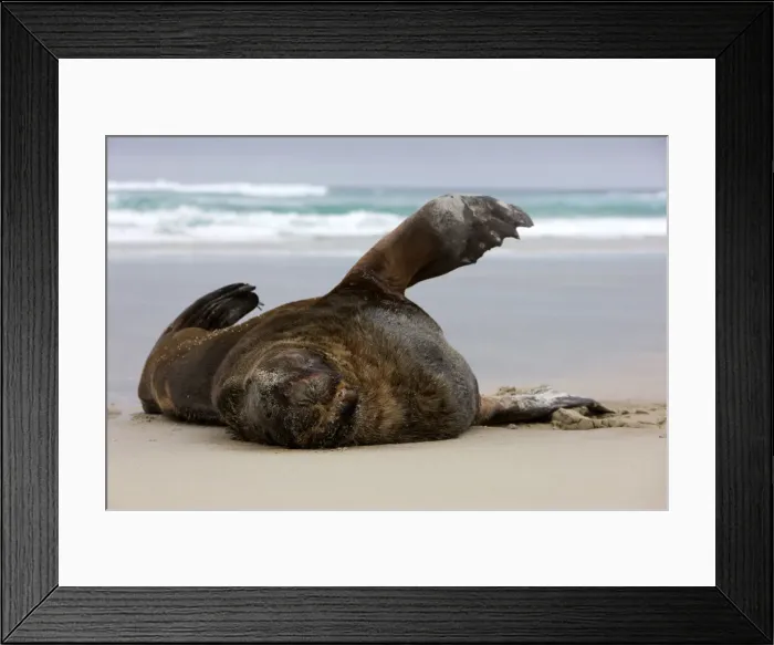 Framed Print : DDE-90026845 Framed Print : DDE-90026845