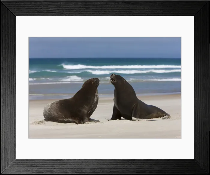 Framed Print : DDE-90026841 Framed Print : DDE-90026841