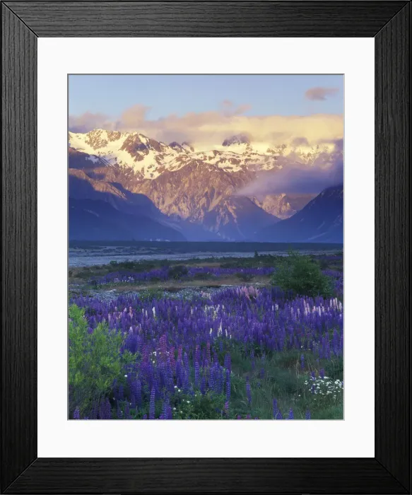 Framed Print : DDE-90026846